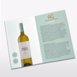 dipticos marques de caceres