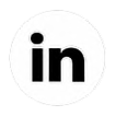 Logo lidelink